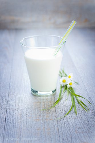 verre de lait ambiance bio nature