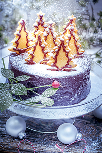 fantastique-gateau-de-noel-au-chocolat