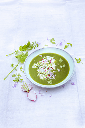 soupe-de-cerfeuil-et-radis-recettes-entrées-aux-herbes