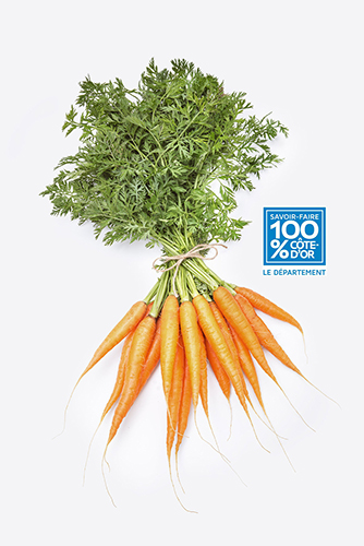 Savoir-faire-100-Cote-d'Or-carottes