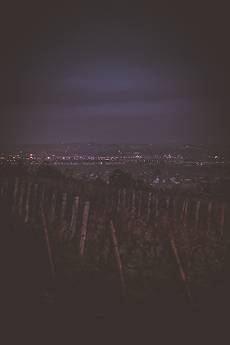 Lever du jour sur Dijon et les vignes de Fixin en Côte de Nuits