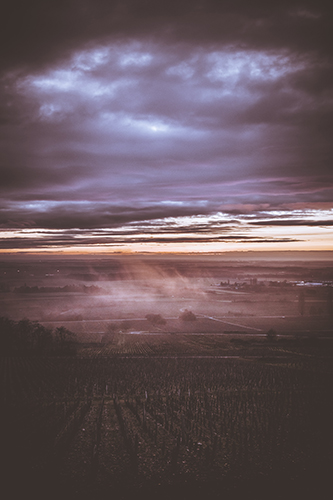 Lever de soleil spectaculaire en hiver,sur les vignes en Côte de Nuits