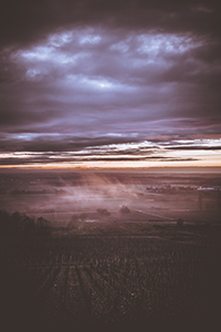 Lever de soleil spectaculaire orange avec brume en hiver,sur les vignes en Côte de Nuits-m